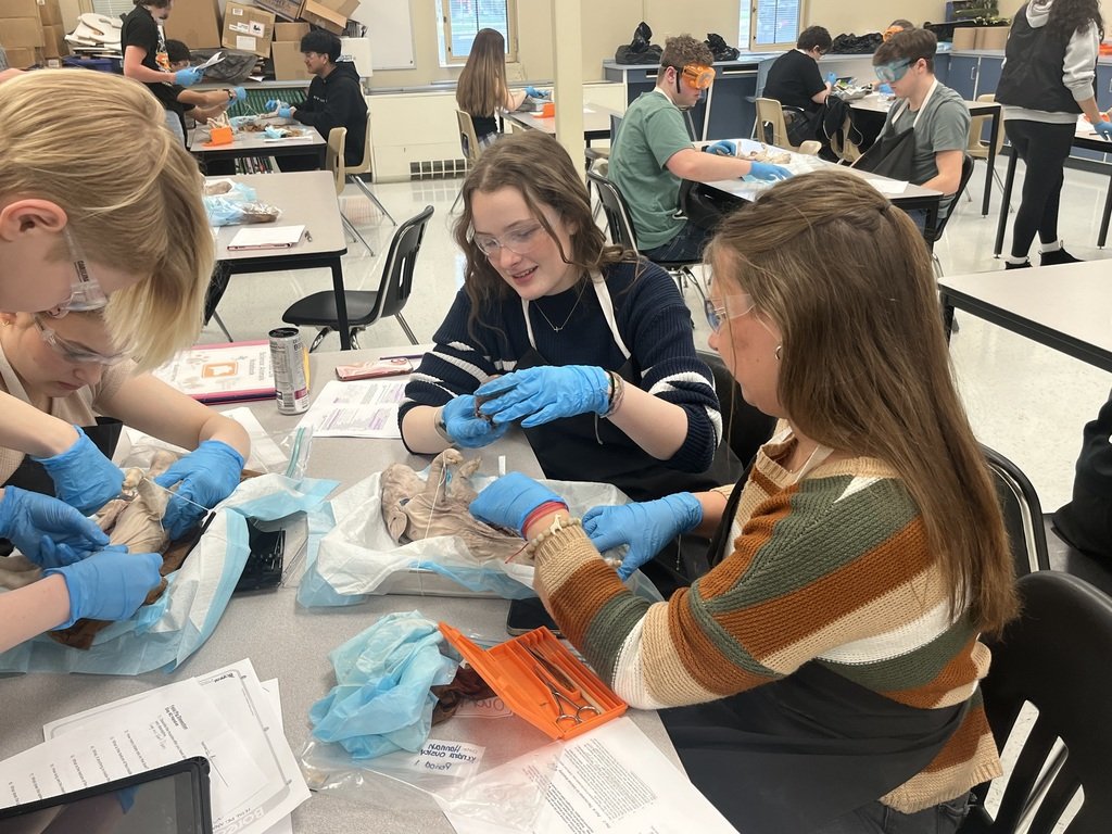 WACC Warsaw tweet media