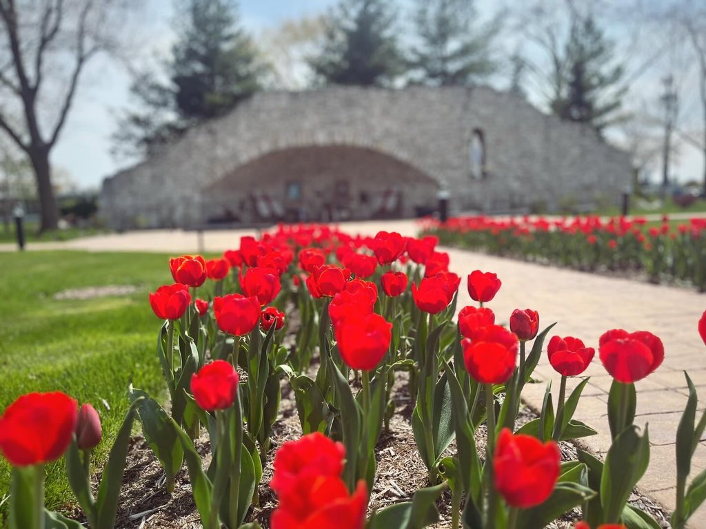 ShayBoyle_NDCP's tweet photo. Good morning from our beautiful campus Grotto at @nddons! #SpringAt7655 @HCInstituteSEU #HopeToBring https://t.co/x1whzh0aFL