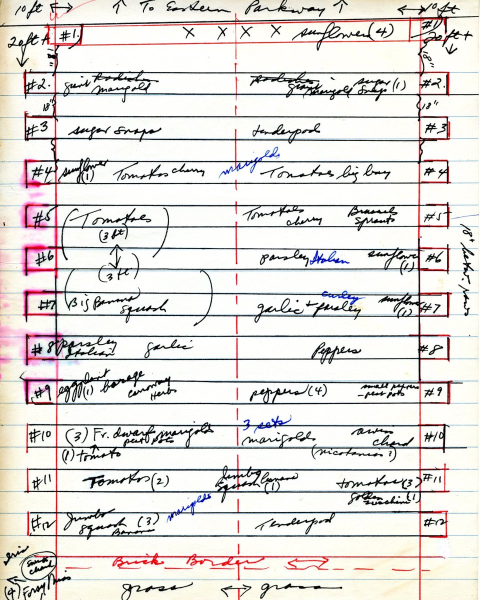 The Eastern Parkway Coalition records include the subject files of Constance Lesold’s work with the Eastern Parkway Coalition and Community Board 8 from the 1970s to the 2000s. These records were recently reprocessed and are now back open for research! bklynlib.org/4aA4mpF