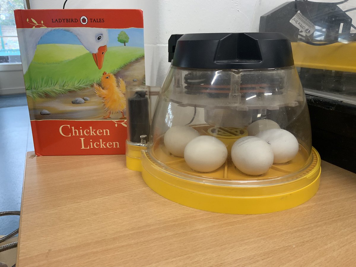 John Scurr Primary School tweet media