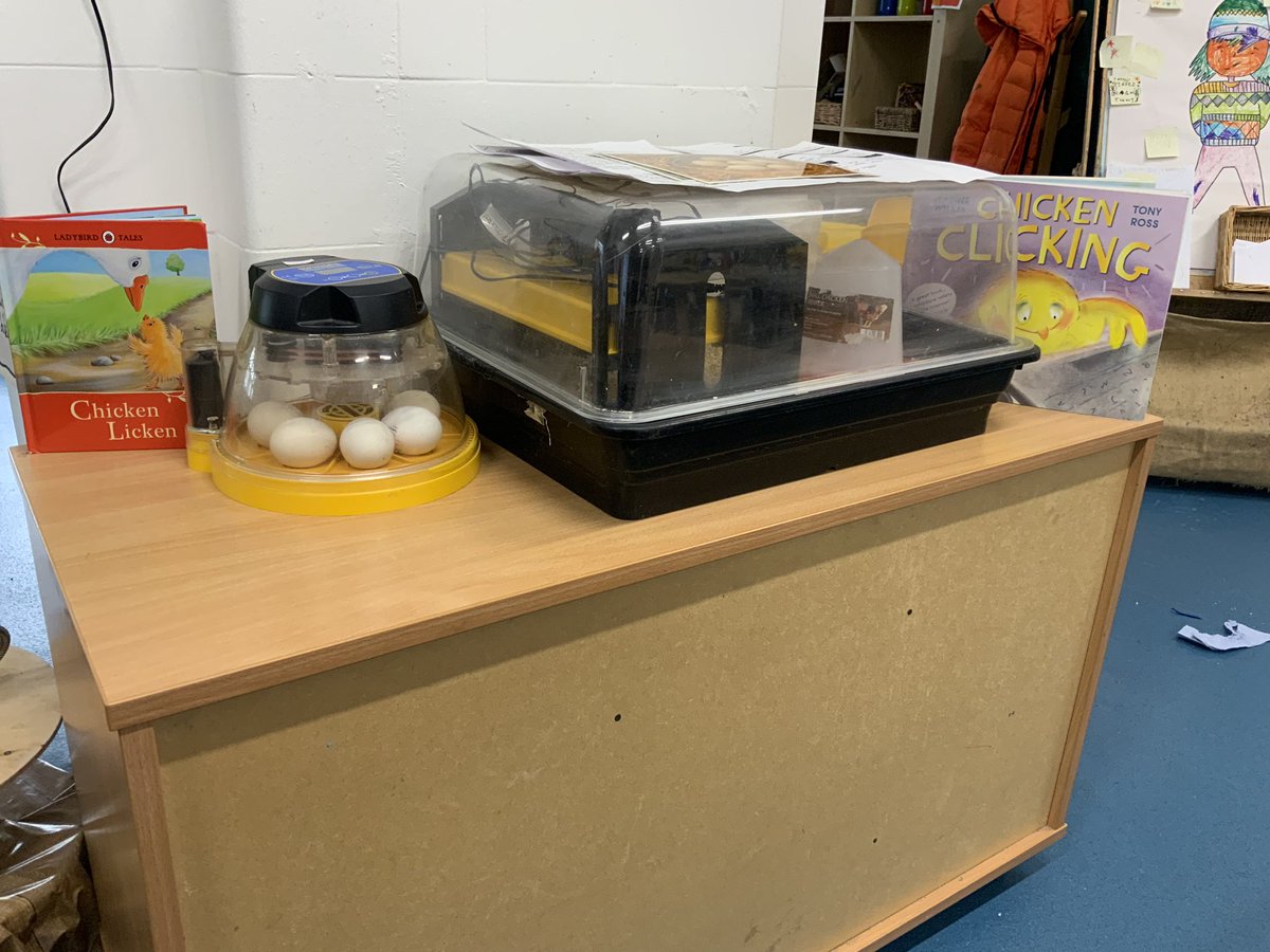 John Scurr Primary School tweet media