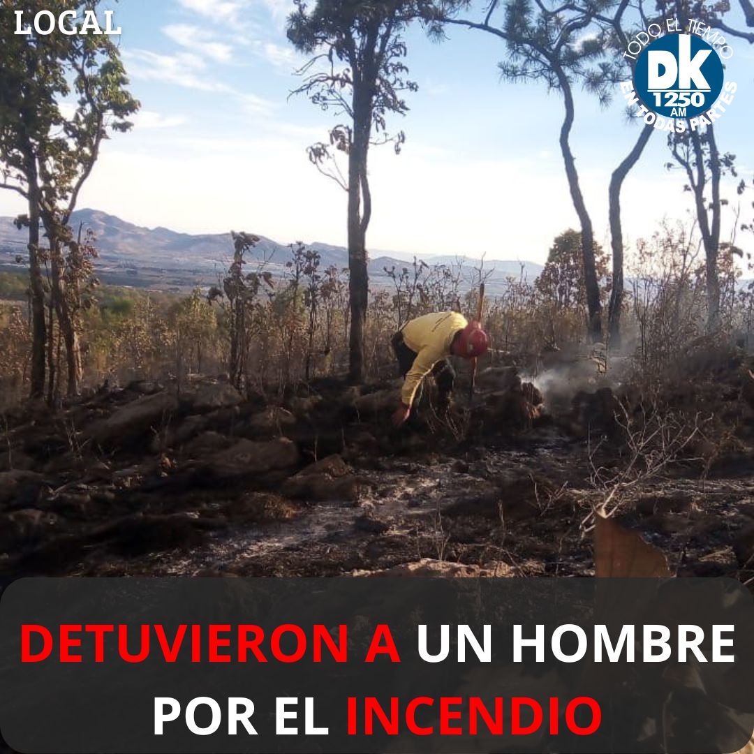#Local 📌El gobernador @EnriqueAlfaroR informó la detención de un hombre por el incendio en el Cerro El 18 en el @BosquePrimavera. Los peritajes muestran un grave impacto en la biodiversidad, enfatizando la importancia de proteger el medio ambiente para las futuras generaciones