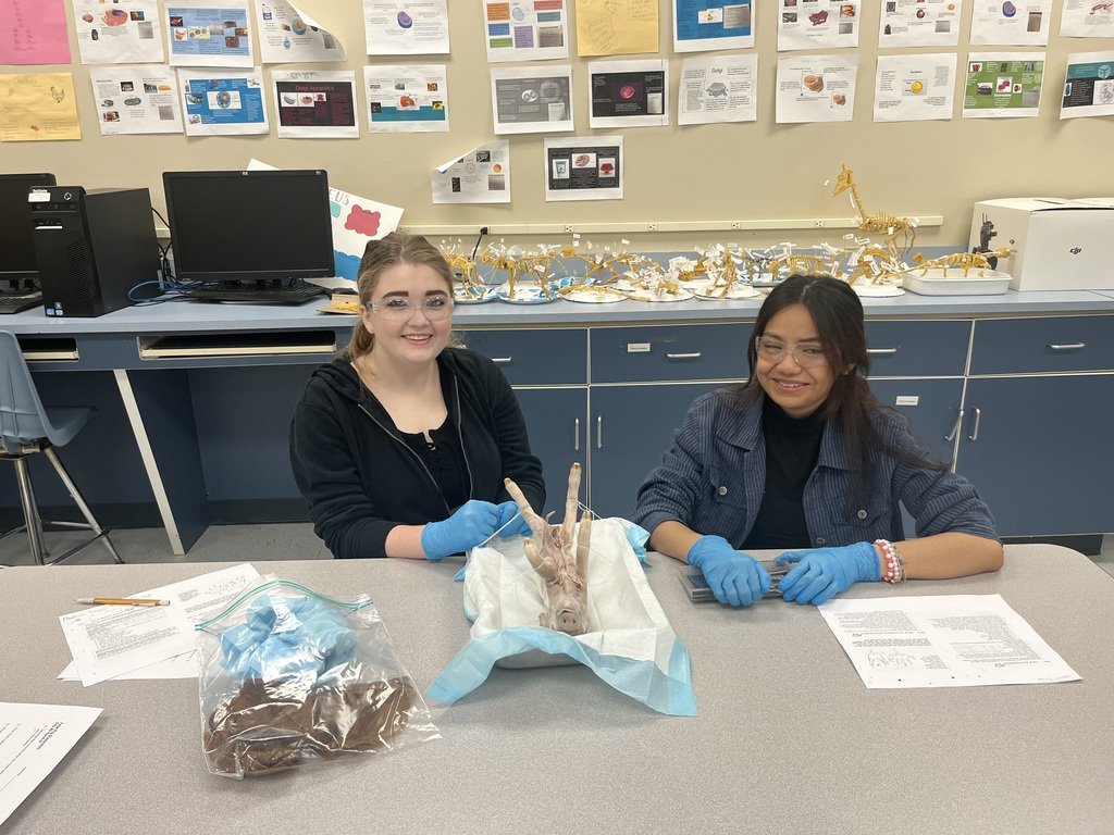 Mr. Riley's Advanced Life Science Animals class completed a fetal pig dissection this morning to wrap up their Anatomy &amp; Physiology unit. Students were tasked with identifying and describing the organs and organ systems and how they all interact. #ExperienceWCS #WCSmission