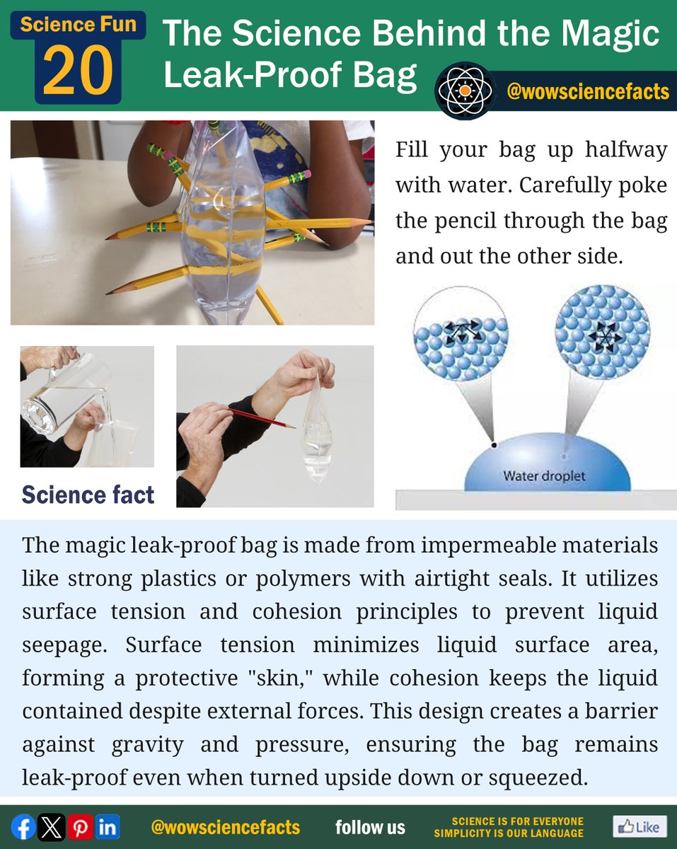 The science behind the Magic Leak-Proof Bag.😀
𝐌𝐨𝐫𝐞 𝐬𝐜𝐢𝐞𝐧𝐜𝐞 𝐚𝐫𝐭𝐢𝐜𝐥𝐞𝐬 𝐟𝐫𝐨𝐦: 👇
wowsciencefacts.com
#Leakproof #Airtight #Polymer #Plastic #Impermeable #Cohesion #science #scienceexperiment #sciencehumor #scienceandtechnology #ScienceForKids