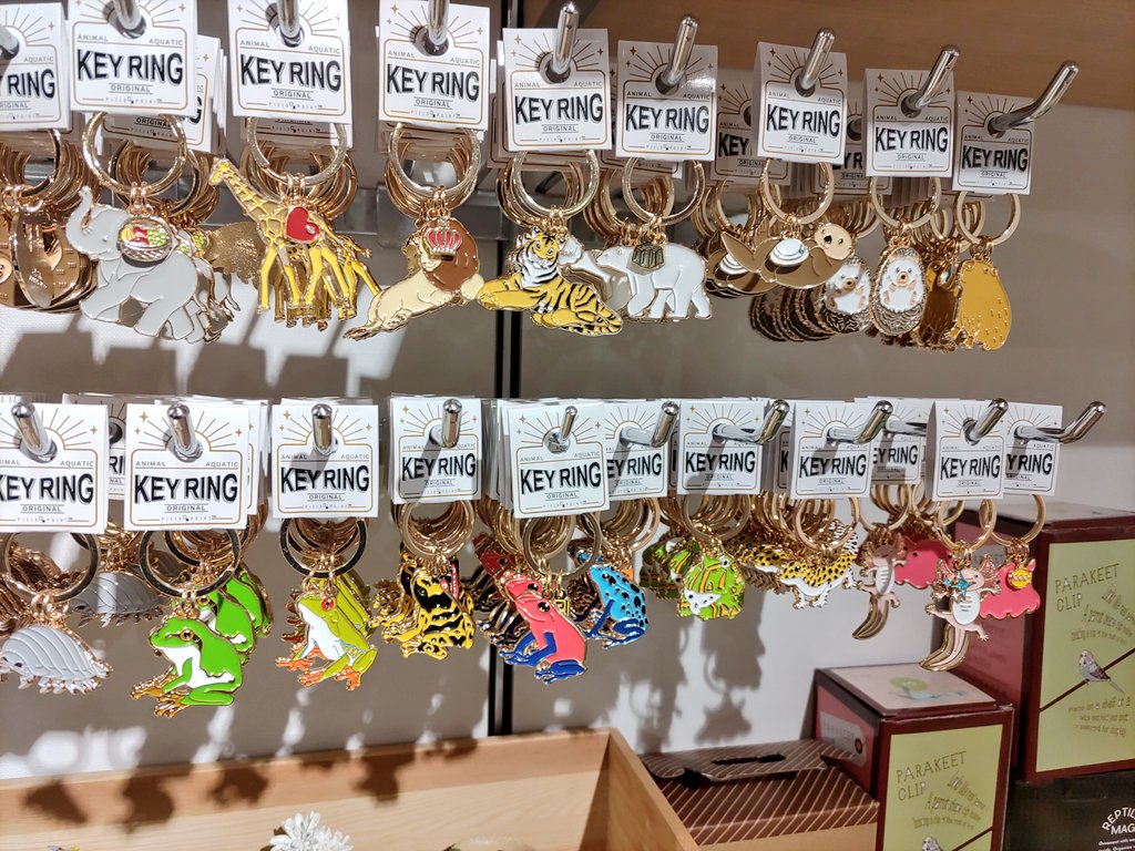 lapteil2's tweet photo. レオパ以外も生き物グッズ沢山あった。
店名からしてそそられる笑 https://t.co/UdchweWUMw