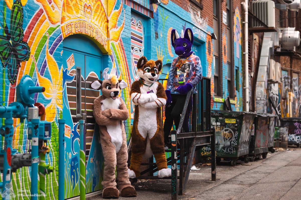 You picked the wrong alley, bub