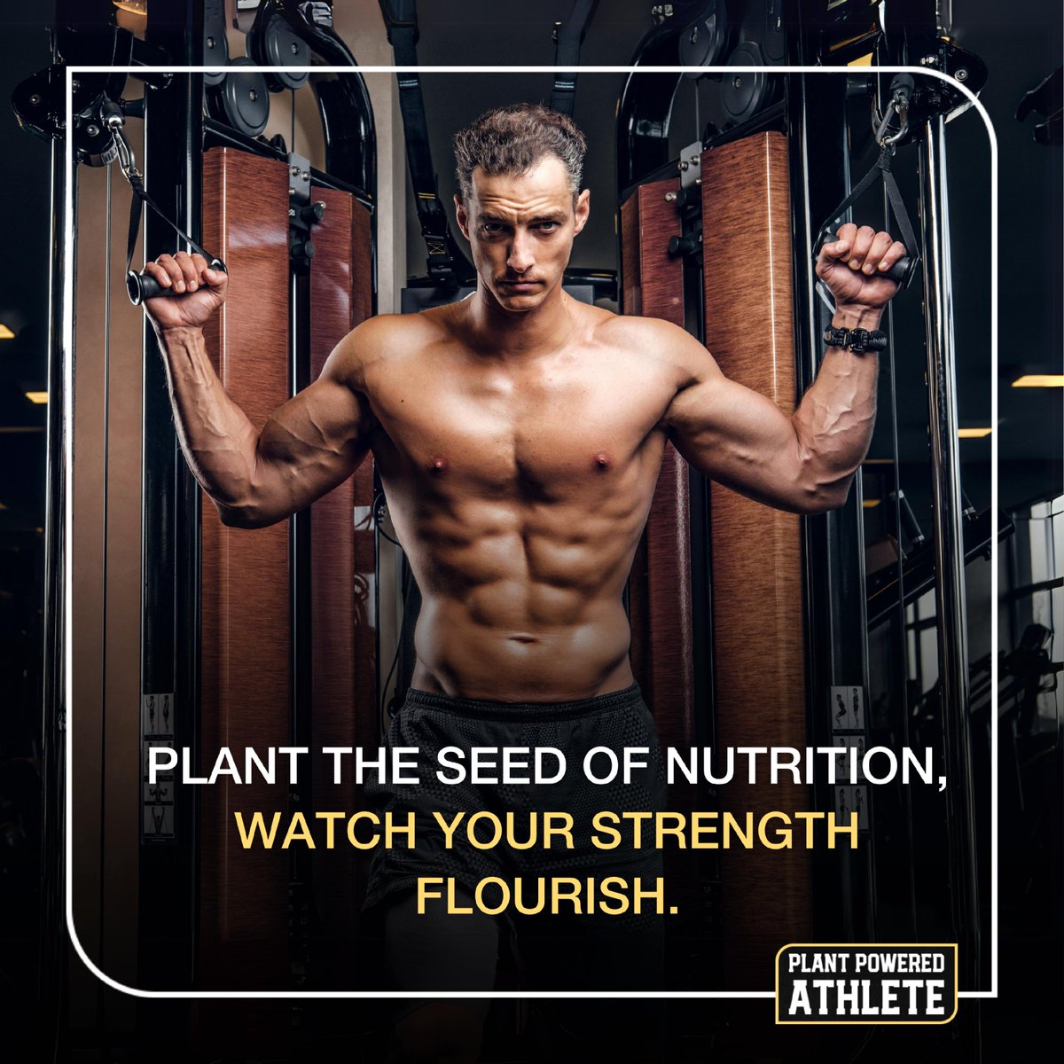 Sow the seeds of plant-based nutrition and reap the rewards of unmatched strength! 💪🌿 

Your body is a garden—nurture it with the best and watch your power grow. 

#plantpoweredathlete #plantbasedprotein #plantbasedcoach #plantpowered #plantbased #plantbuilt #plantbasedfood...