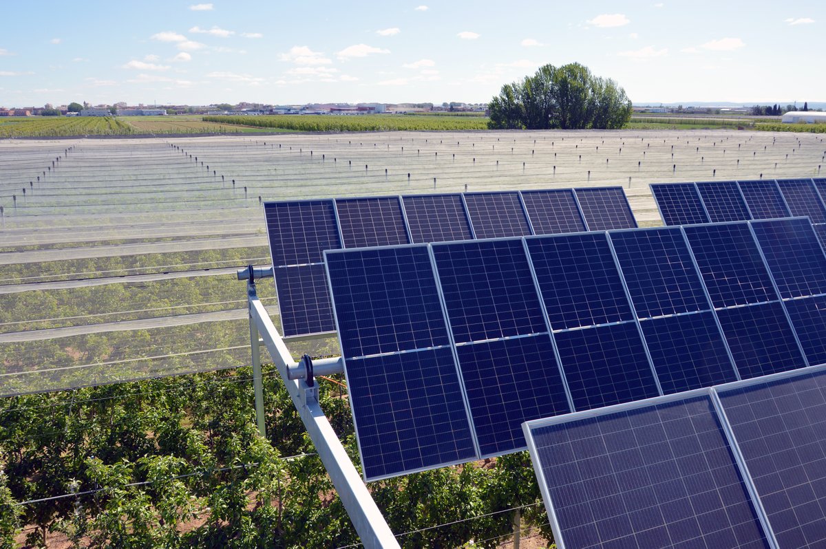 Un espai limitat, i la necessitat tant de cultivar, com de produir energia renovable... i si poguéssim combinar-ho d'una manera beneficiosa i fins i tot crear sinergies?
🌞+🍏

Presentem un projecte que ha d'estudiar si això és possible, i la millor forma d'aconseguir-ho 👇