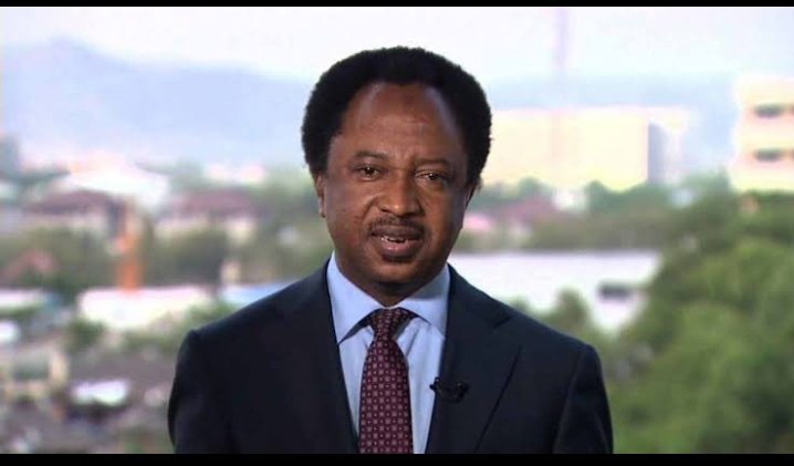 JUST IN: Obidients Are More Peaceful Than Buhari Supporters – Shehu Sani.