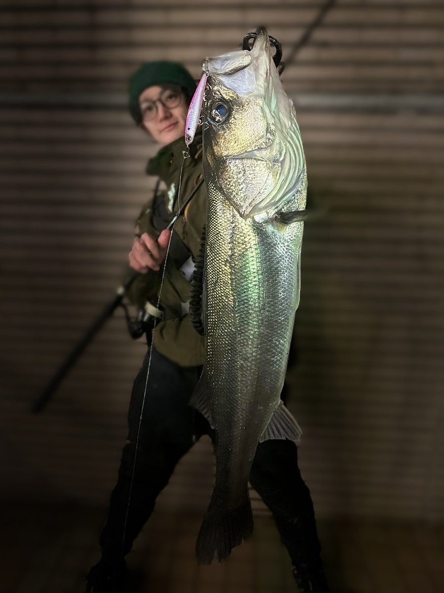 桜散りつつある港湾部 良型も釣れて嬉シーク🕺 #シーク68S #Seek68S