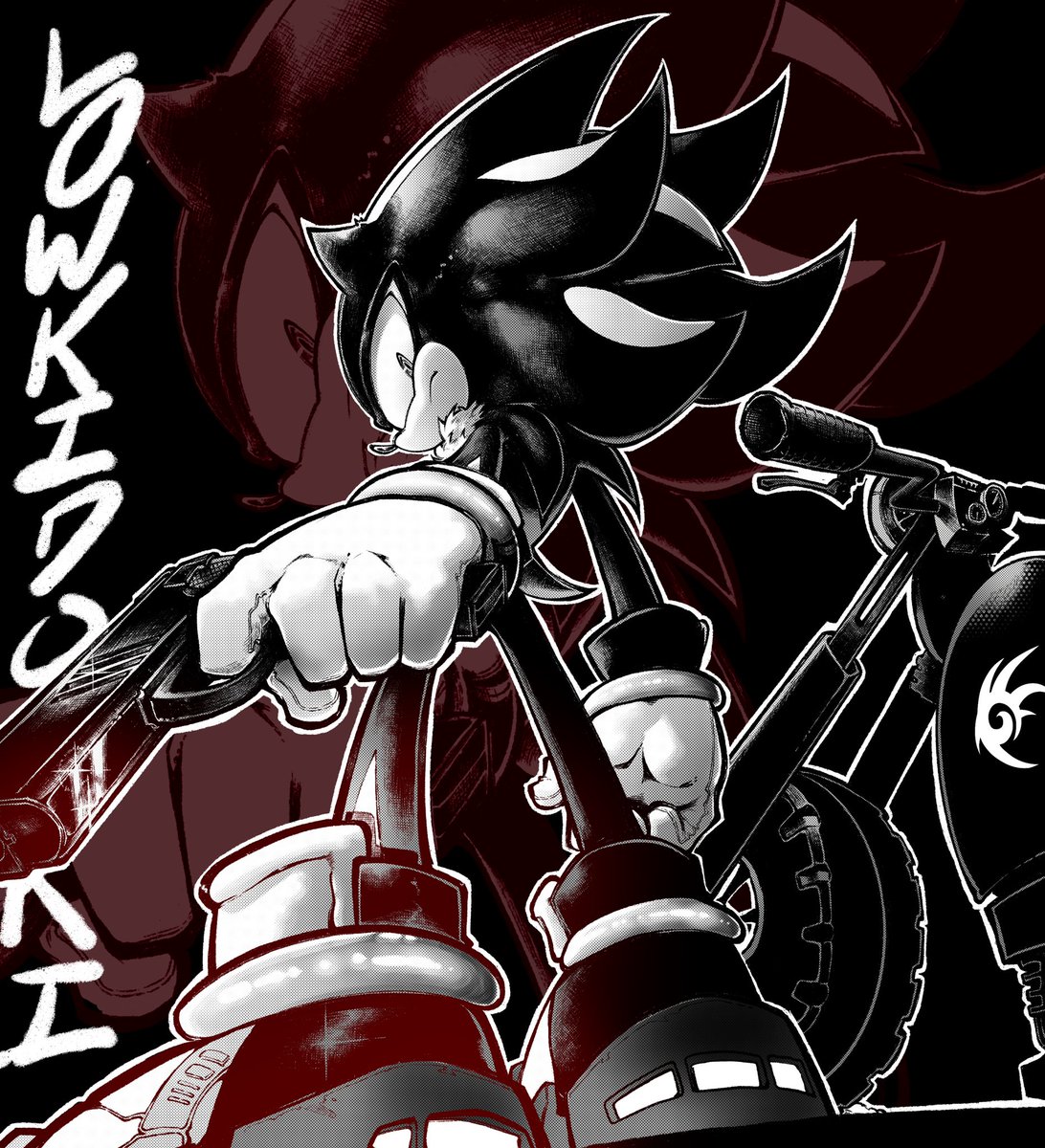 SHADOW THE HEDGEHOG