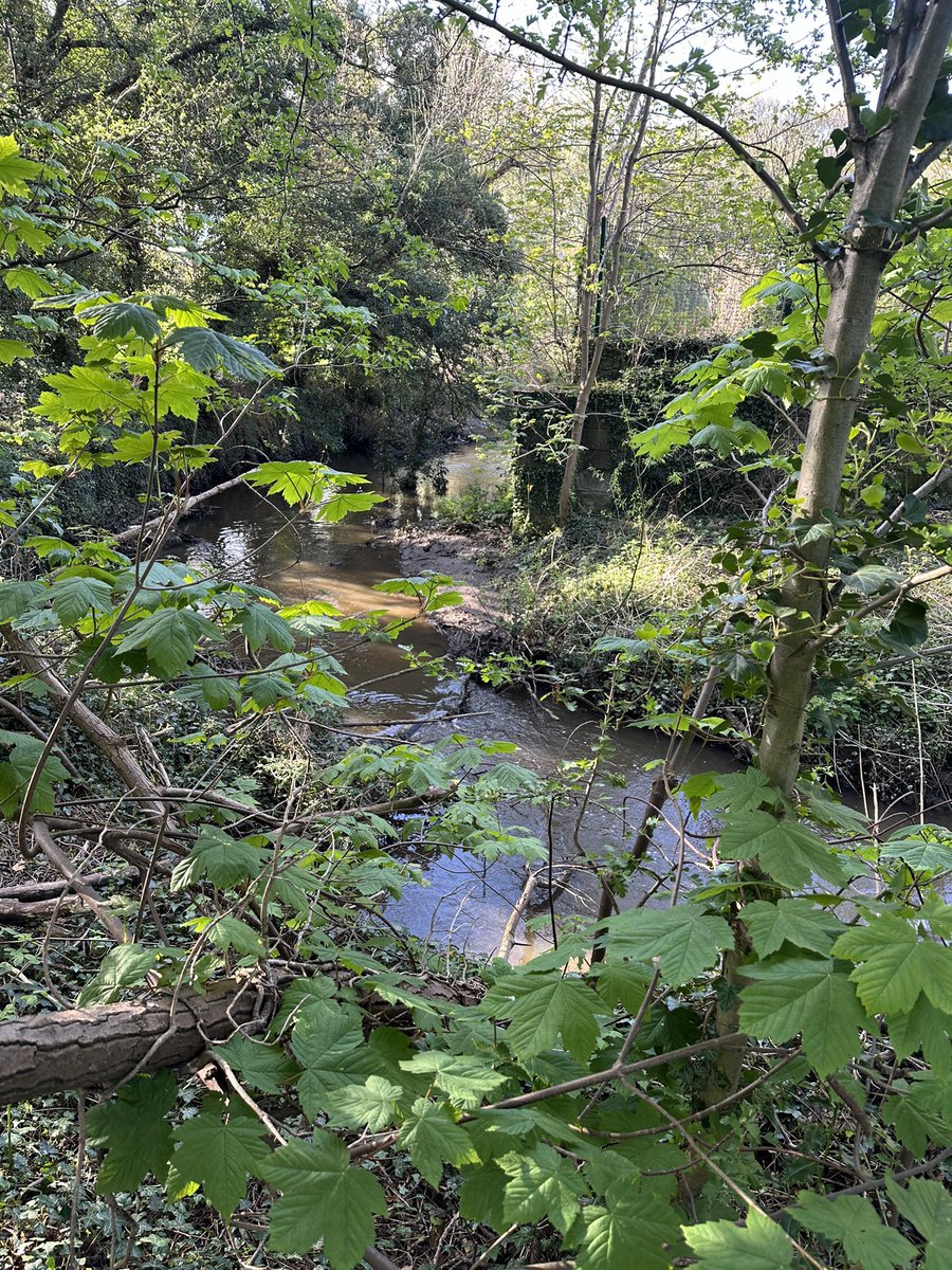 Stuart Long Esq. tweet media