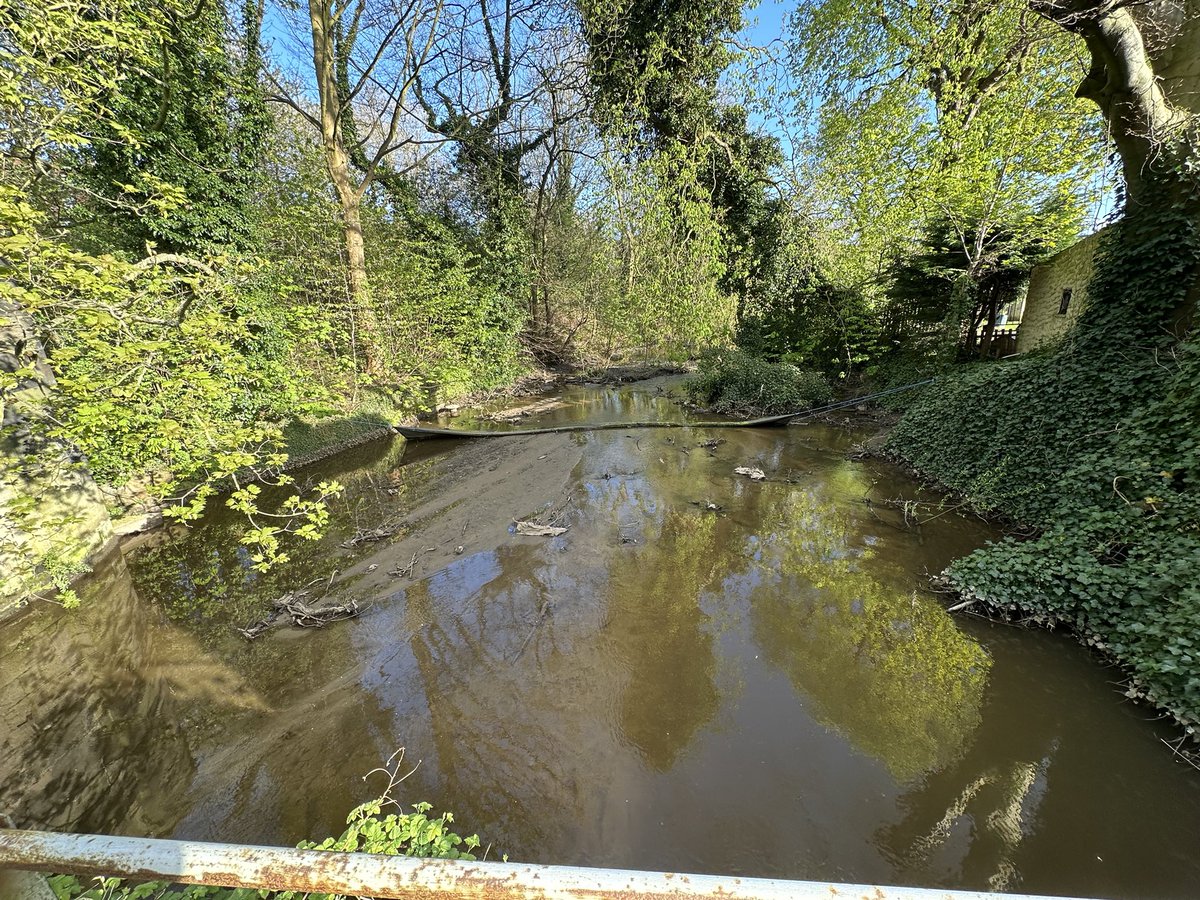 Stuart Long Esq. tweet media