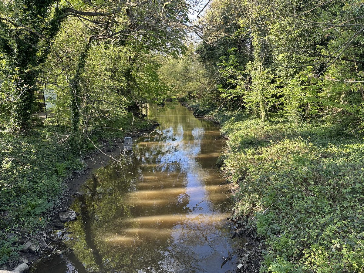 Stuart Long Esq. tweet media