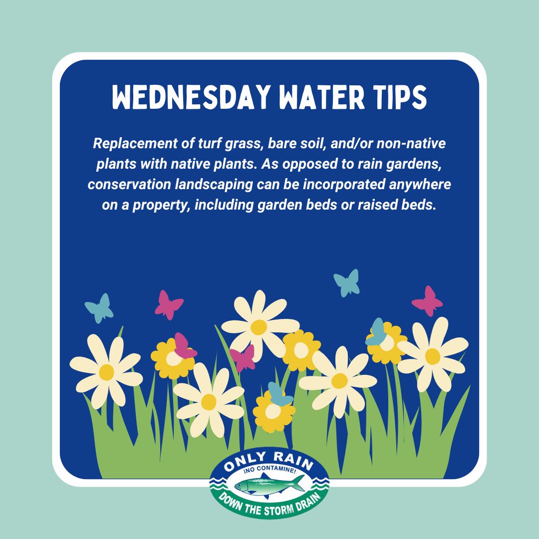 Your landscaping can be a valuable tool in keeping our waterways clean. By using conservation landscaping techniques, you can help decrease polluted stormwater runoff by making sure raindrops soak into the land instead of running off into storm drains. onlyrain.org/stormwater-col…