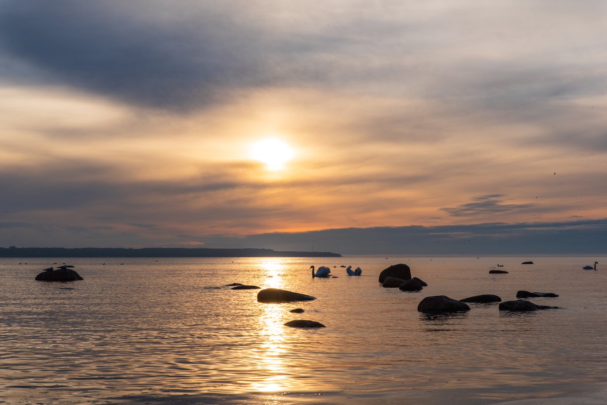 kairokiitsak's tweet photo. Gorgeous sunset on the northern coast of Estonia 16.04.2024. https://t.co/8TvGrE38h3