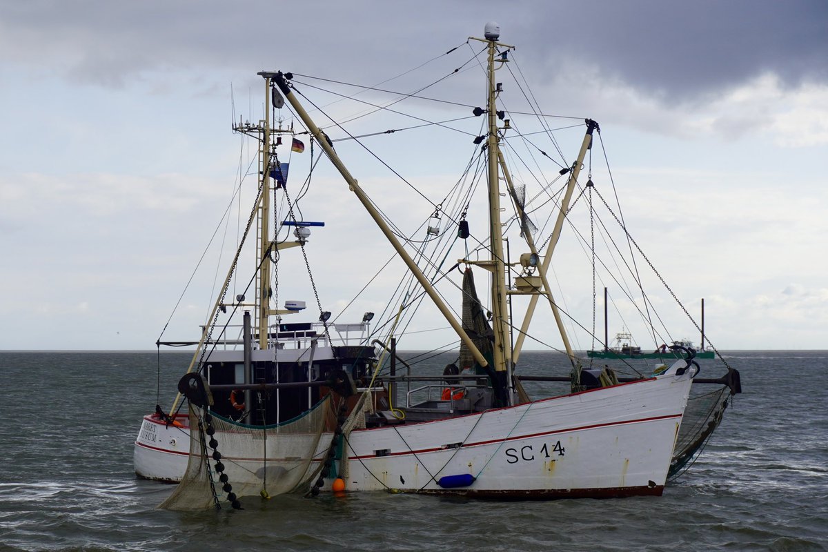#Noordzee #kust #visserij #beleving 
Collega’s met hun SC-14 MARET , nog een houten Kotter met mannen van staal 😃