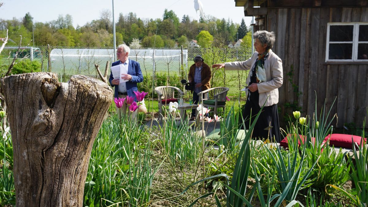 Landesgartenschau Wangen 2024: VGL-Mitglieder bauen Schaugärten dlvr.it/T5dD2h