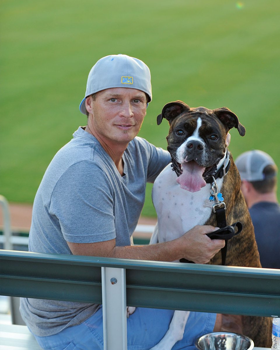 Happy Wet Nose Wednesday to all who observe! Each Wednesday* at Pelicans Ballpark we invite you to bring your pup to enjoy the evening with the purchase of a Budweiser Bowtie Deck ticket. *Excludes July 3 🐶: myrtlebeachpelicans.com/tickets