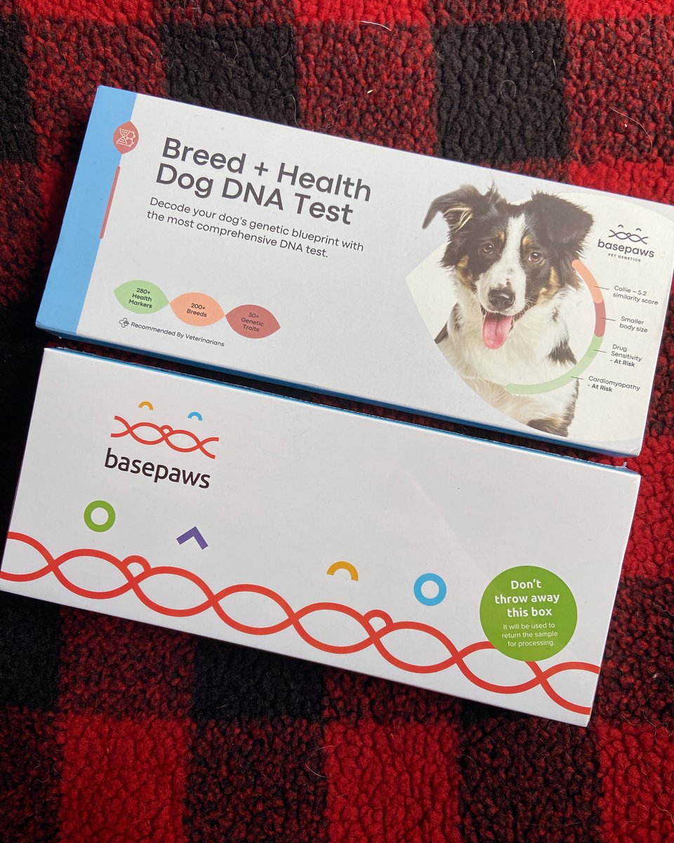 We're super excited for this week's #FreebieFriday giveaway prize: this @basepaws Breed + Health Dog DNA Test, a quick and easy-to-use oral swab test that reveals valuable insights into a dog's genetic blueprint. Visit Pet Age on IG for #giveaway details! #DNA #dogmom #dogdad