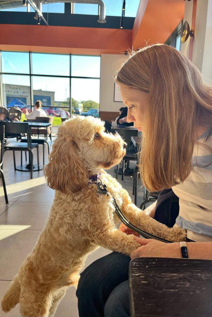 This year @S_A_Somerville has entered Holyrood Dog of the Year with Oscar! 🏆

To vote for Shirley-Anne Somerville MSP and Oscar, visit thekennelclub.org.uk/hdoty

#hdoty #mspdogoftheyear 

@DT_Pawlitical