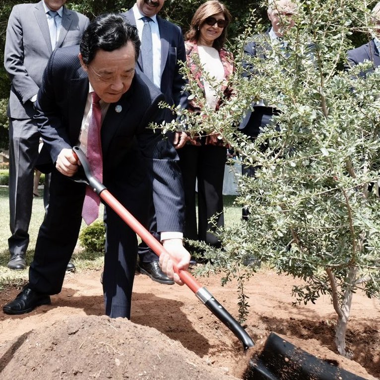 FAOAfrica's tweet photo. The @FAODG and Morocco’s Agriculture Minister plant an argan tree as a symbol of resistance against desertification. 

The planting also recognizes the commitment of FAO and the Kingdom of Morocco to resilient agrifood systems and inclusive rural transformation. 

#ARC33 https://t.co/9oHa5QpNsj