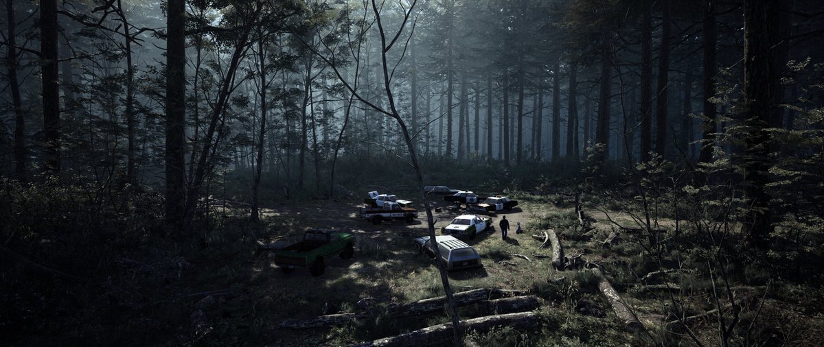 The police arrive in the Black Hill Forest. Ellis Lynch, a former police officer and a veteran joins the team searching for little Peter Shannon. The story begins... #BlairWitchGame #screenshot by DeadSoul