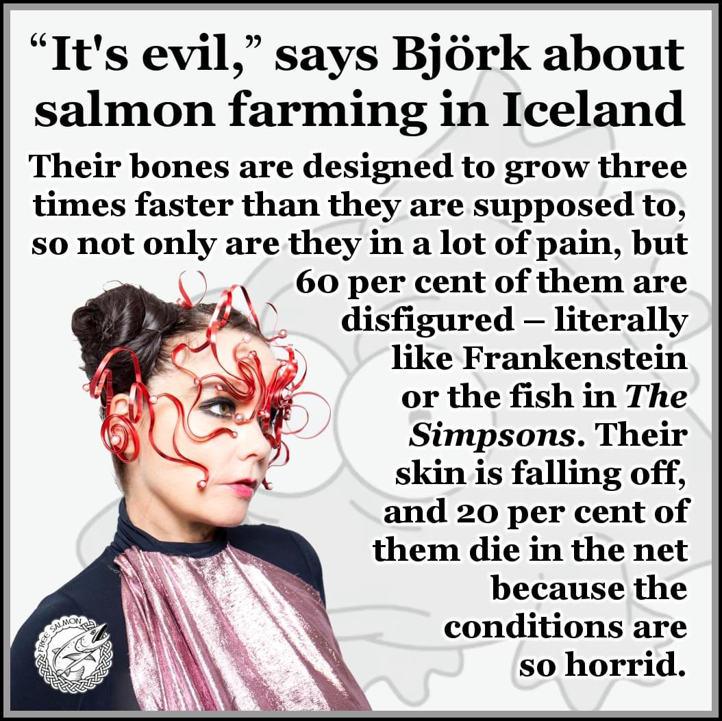 Thank you @bjork for speaking out against salmon farming.