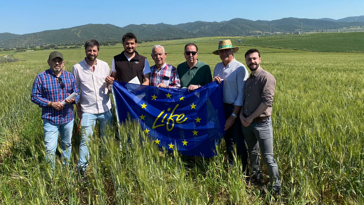 📸Imágenes de la visita de los miembros de @sipcam_iberia a la finca donde se desarrolla el proyecto europeo #LIFEInnocerealEU

@LIFEprogramme #LIFEproject