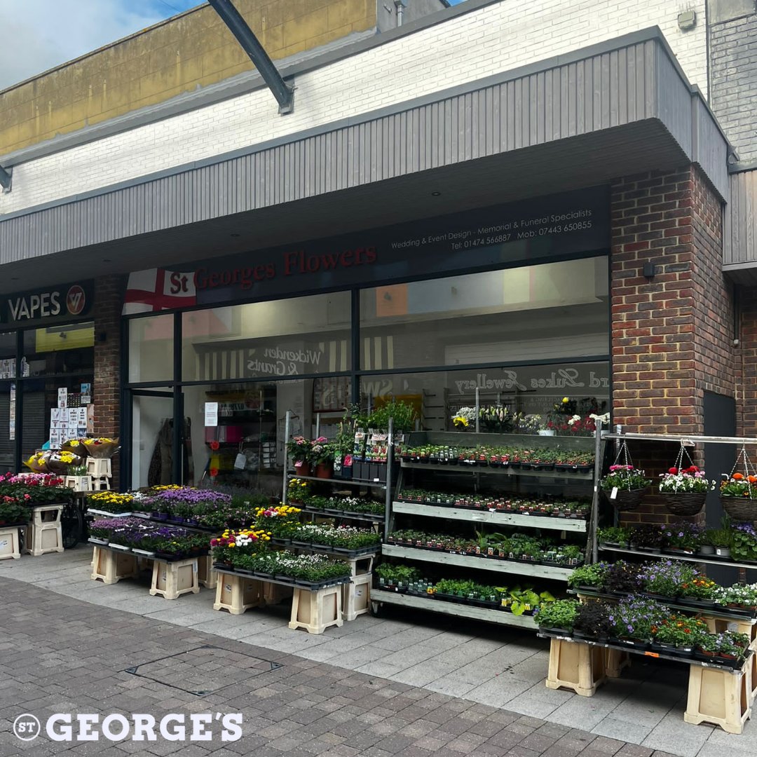 St George's flowers looking beautiful as ever here this morning 😍 It's not too late to grab your bunch today. Swing by St. George's Shopping Centre to pick up your delightful bouquet. 🌸