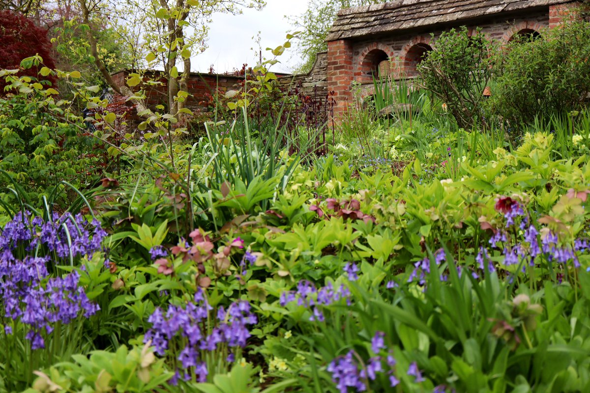 Glorious four acre garden in Herefordshire Stockton Bury @tamsinwesthorpe