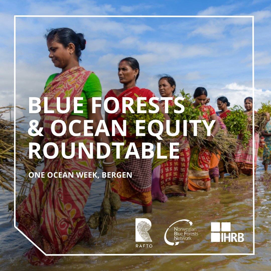 Together w/ @RaftoFoundation @NBFNetwork, we hosted a roundtable discussion today about why healthy coastal ecosystems are critical for #humanrights of coastal communities.  💡 Panelists and IHRB's Frances House reflect on why this is important: ihrb.org/events/blue-fo…