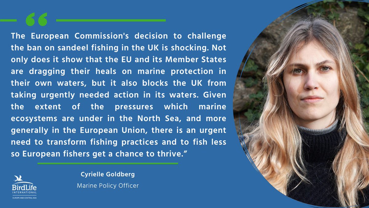 Last month, the UK announced it will close sandeel fisheries. This was fantastic news for nature at sea. ‼️ But now, the EU decided to legally challenge the UK's measure to close sandeel fisheries, caving into the pressure from Denmark and Sweden. Sandeels are forage fish