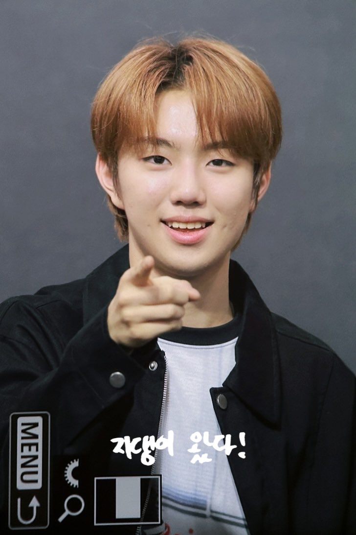 WINDFALL_JiHoo🥽 tweet media