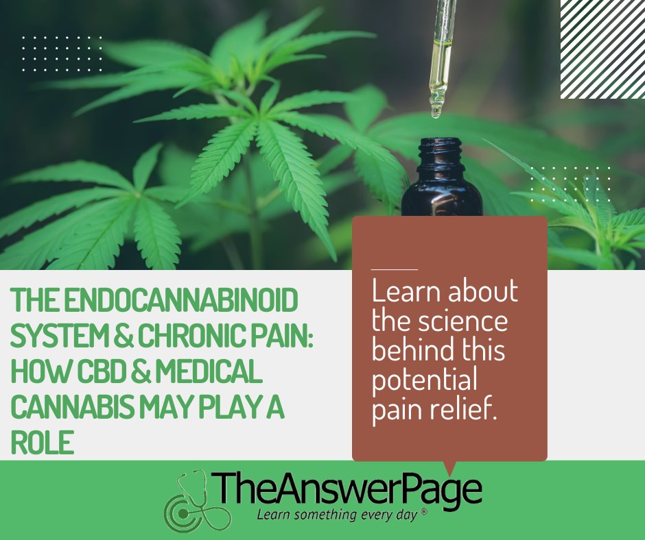 Want to know how #medicalcannabis and cannabidiol (#CBD) interact with your body to help manage pain? @The_Answer_Page has a great resource: theanswerpage.com/wp-content/upl… Download & explore new pain management options! #chronicpain #naturalmedication #KNOWmyCannabinoid