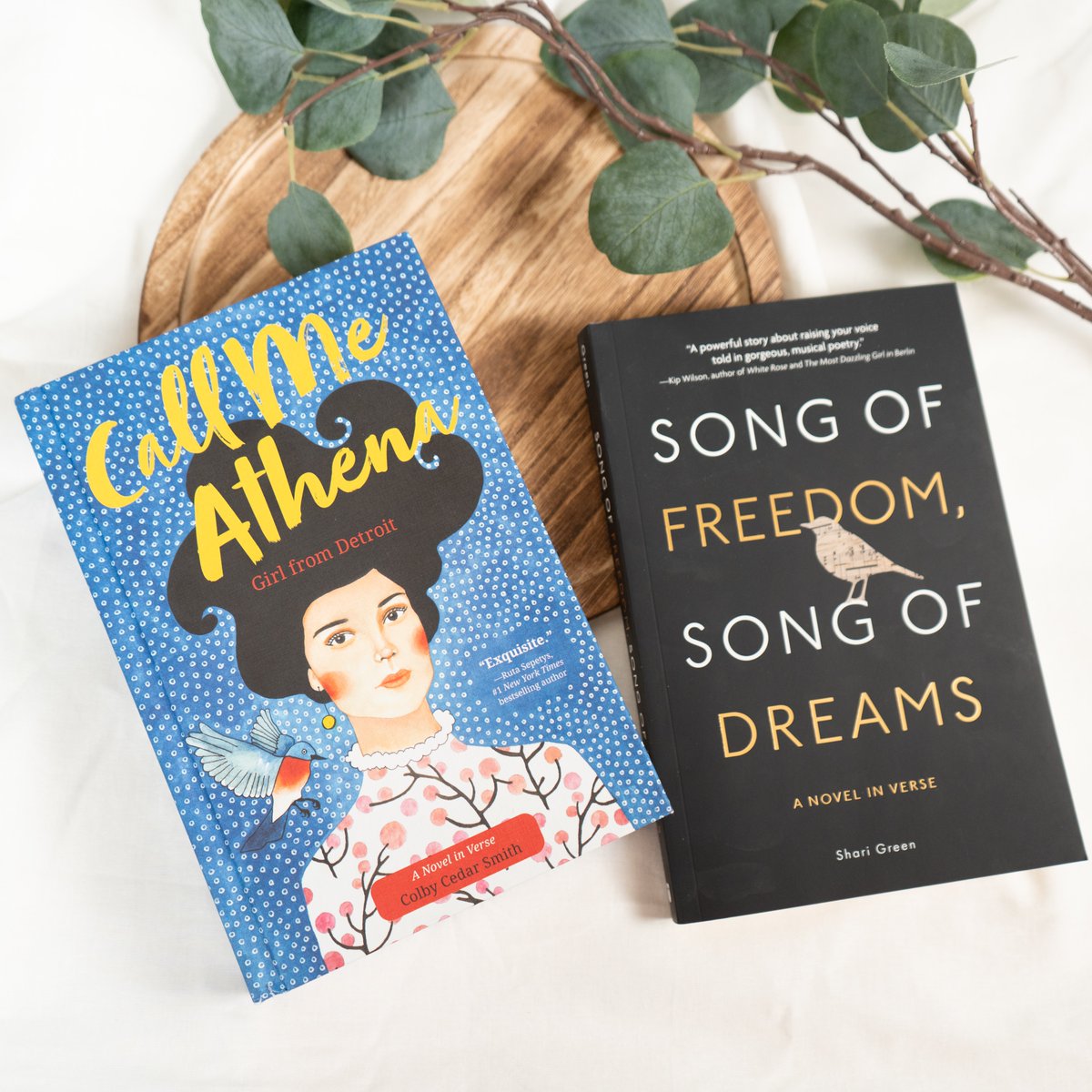 Looking for some #NationalPoetryMonth recommendations? We've got two amazing novels in verse for you ✨ @ColbyCedar @sharigreen