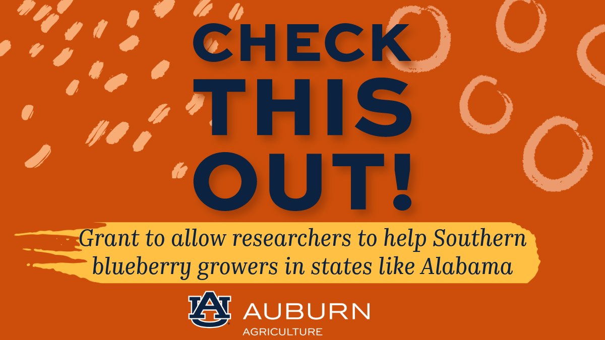 Read more about this amazing grant funding research that will support Alabama blueberry farmers! pulse.ly/6eevfilhtp