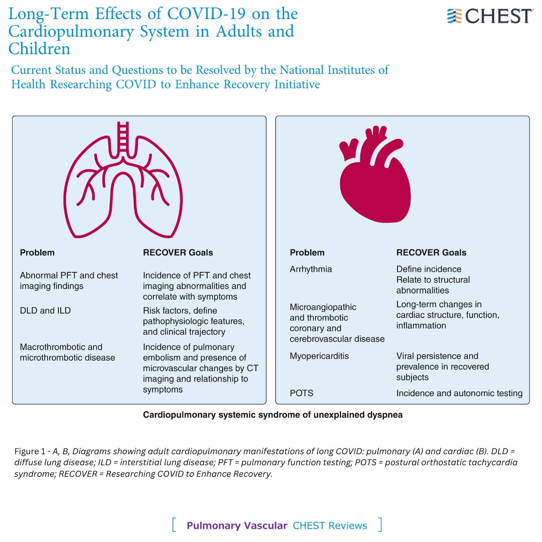 Long-Term Effects of #COVID19 on the Cardiopulmonary System in Adults and Children Read more about the current status of and questions to be answered by the RECOVER initiative in the April @journal_CHEST issue: hubs.la/Q02t3Lc90 #MedTwitter #MedEd