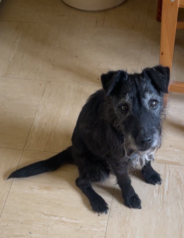 Katie ✟🦇 GothQueen tweet media