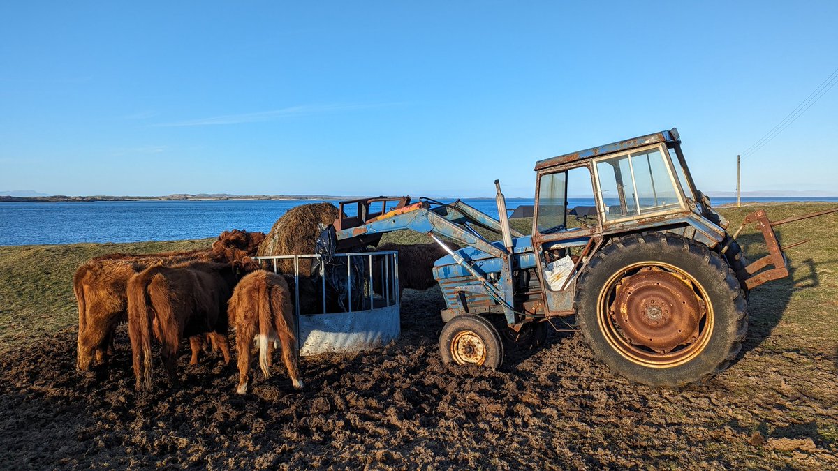 Run out of fuel. Cadged fuel. Refueled. Flattened battery trying to start again. Bled fuel system. Jump started tractor. Lifted bale. Hydraulics stuck up. Solved that. Brakes failed. Idyllic.