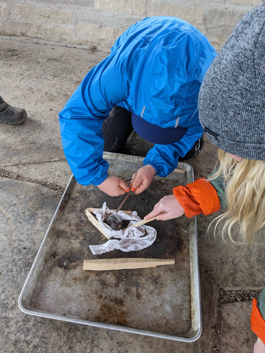 Our friends at @princephilipnf did great with their outdoor survival skills today! 

@ColleenFast1 @dsbn 

#outdoored #outdoorsurvival