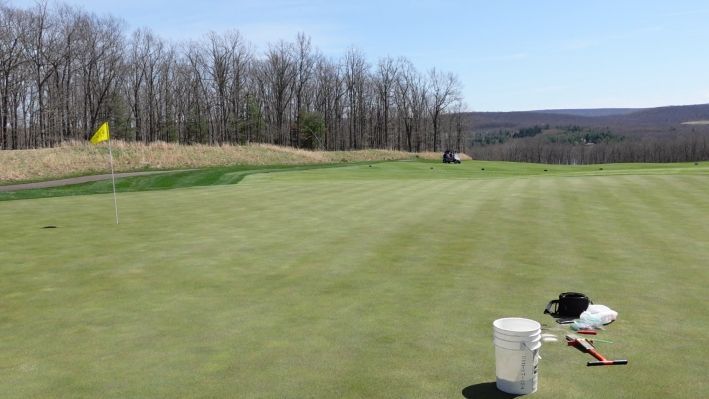 paceturf's tweet photo. Photo of the week: a Penn A1/A4 putting green seeded in 2008 &amp; fertilized with P in 2008. No P since. The photo description includes a link to a video with more information about the Mehlich-3 soil test P (single digits) &amp; Poa annua on this green (none)

https://t.co/HbVTjKgs0Y https://t.co/oE80Wuzrfc