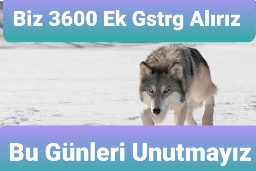 selahattinertan's tweet photo. Sadece adalet istedik sürekli önümüzdeki dönem dendi. Ey muhalefet ve sendikalar siz neredesiniz #BirinciDereceye3600 ek gösterge
@RTErdogan
@dbdevletbahceli
@isikhanvedat
@eczozgurozel
@erkanakcay45
@iletisim
@55erhanusta
@OnderKahveci
@TurkesGuney
@_aliyalcin_
@yusufyazgan https://t.co/IE1UXAWaxn