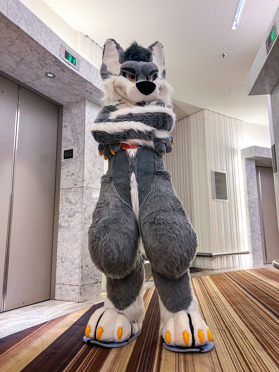 Can’t contain my excitement for FWA 😤 📸: @Finn770123 #morefurless