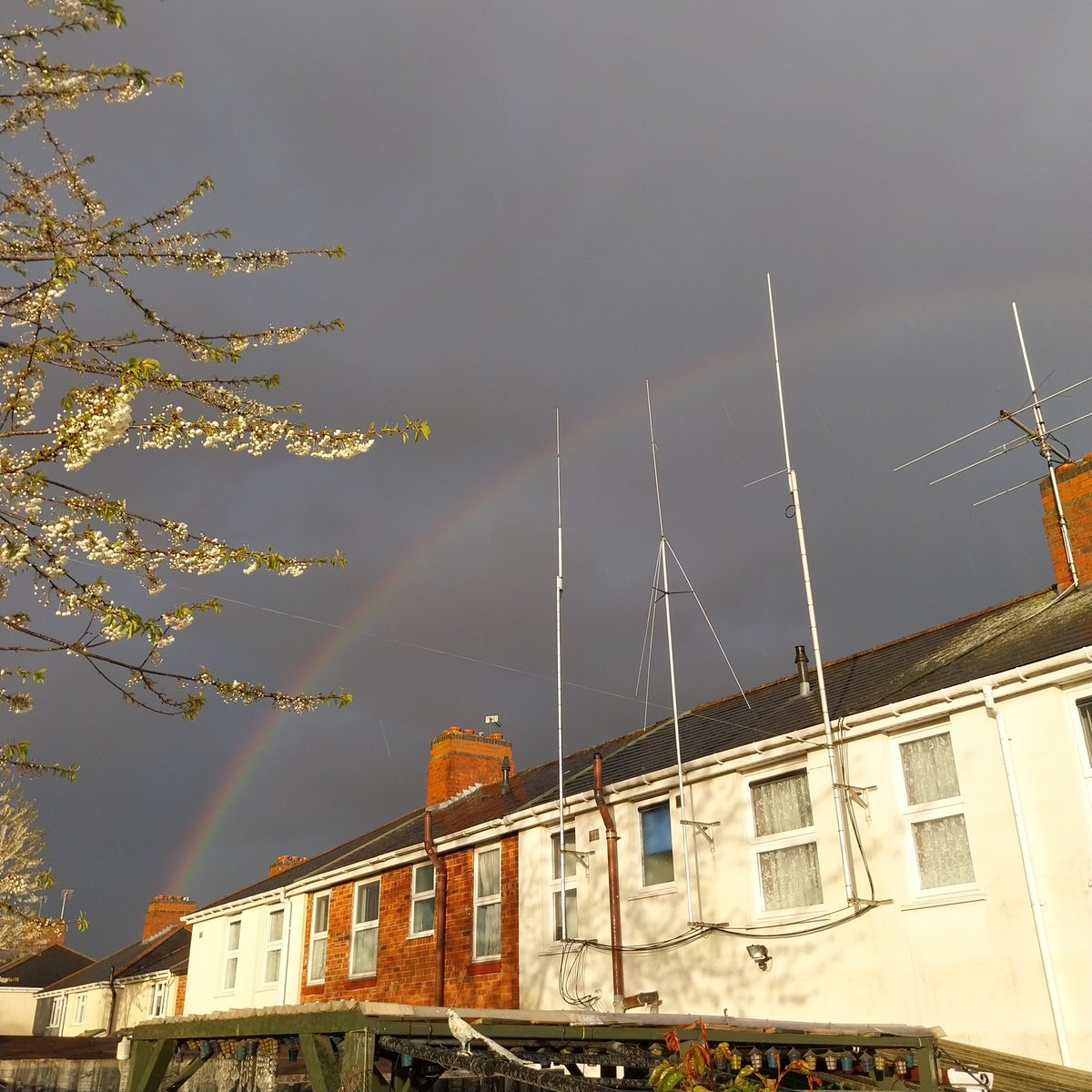 #🌈 #rainbow #doublerainbow best one this year