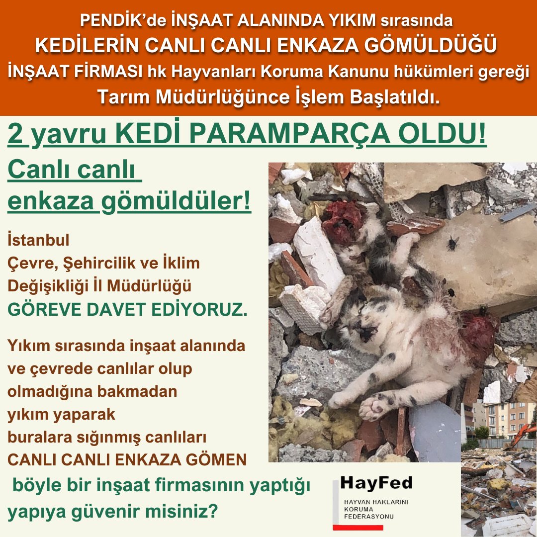 Pendk'te İNŞAAT ALANINDA YIKIM sırasında KEDİLERİN CANLI CANLI ENKAZA GÖMÜLDÜĞÜ İNŞAAT FİRMASI hk Hayvanları Koruma Kanunu hükümleri gereği Tarım Müdürlüğünce İşlem Başlatıldı. @istanbul_csb Sn . @hm_guner İstanbul Çevre, Şehircilik ve İklim Değişikliği İl Müdürlüğünü GÖREVE