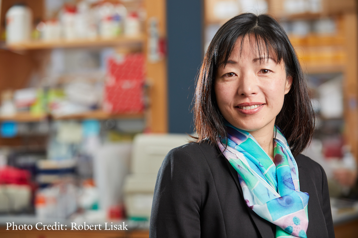 YSM's @VirusesImmunity is one of two @Yale professors named to the #TIME100, @TIME’s list of the 100 most influential people in the world - a #recognition of her contributions to the global understanding of #longCOVID and post-acute #infection syndromes. time.com/6964230/akiko-…