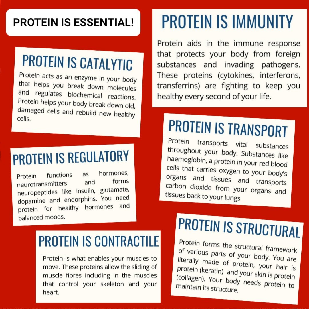 Protein is not just a muscle builder and recovery tool, it does so much more...... Is it essential for Immunity, for hormone health, cell repair, oxygen delivery& much more. #prioritiseprotein #health #nutrition #protein #animalfood #meat #eggs #Immunity #muscles #carnivore