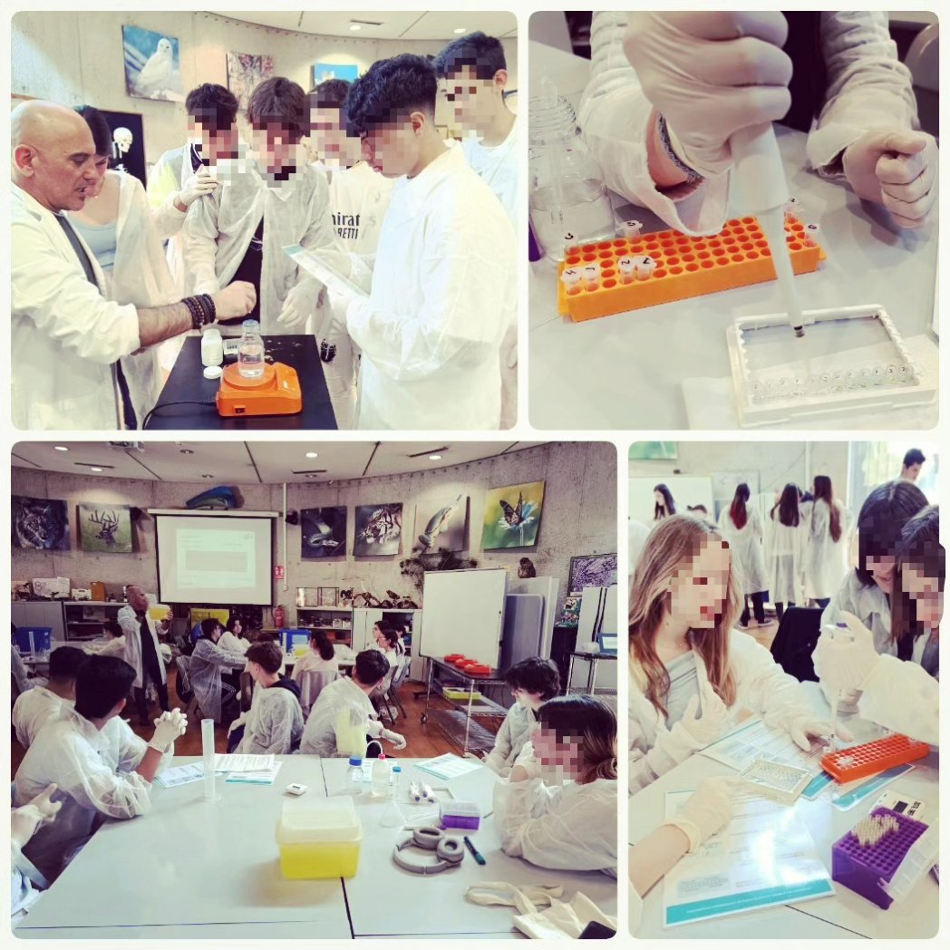 IES San Juan Bautista (@ies_sjb) on Twitter photo Visita de los estudiantes de Biología de 1° de Bachillerato al Museo Nacional de Ciencias Naturales, donde han podido realizar dos talleres muy interesantes. Visita de los estudiantes de Biología de 1° de Bachillerato al Museo Nacional de Ciencias Naturales, donde han podido realizar dos talleres muy interesantes.
