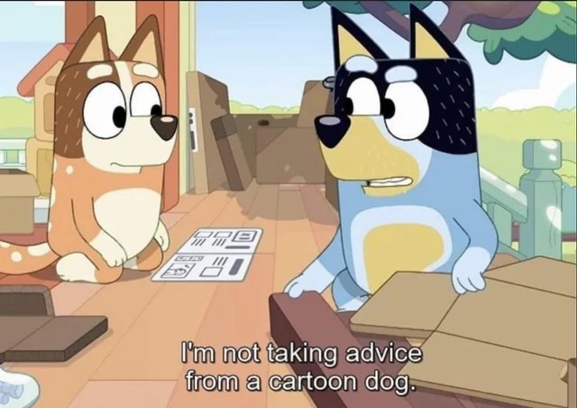 Fred Wulff tweet media